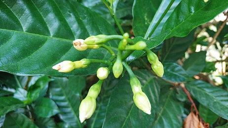 《上行战场》再次完成分级 即将登陆PS4和PS5